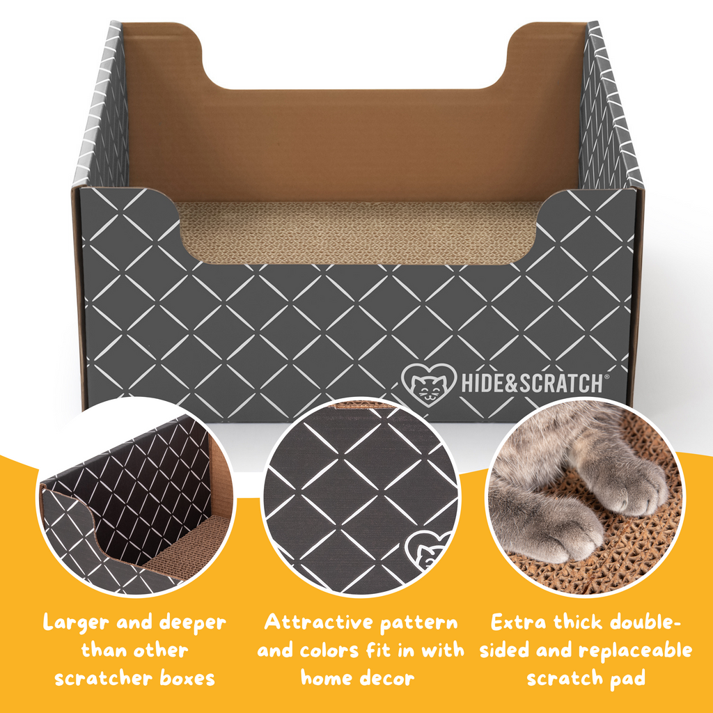 Hide & Scratch Cat Scratcher Box (Case Pack of 15)