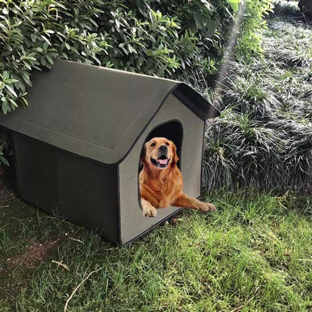 The All-Weather Pet Oasis - Your Furry Friend's Outdoor Sanctuary
