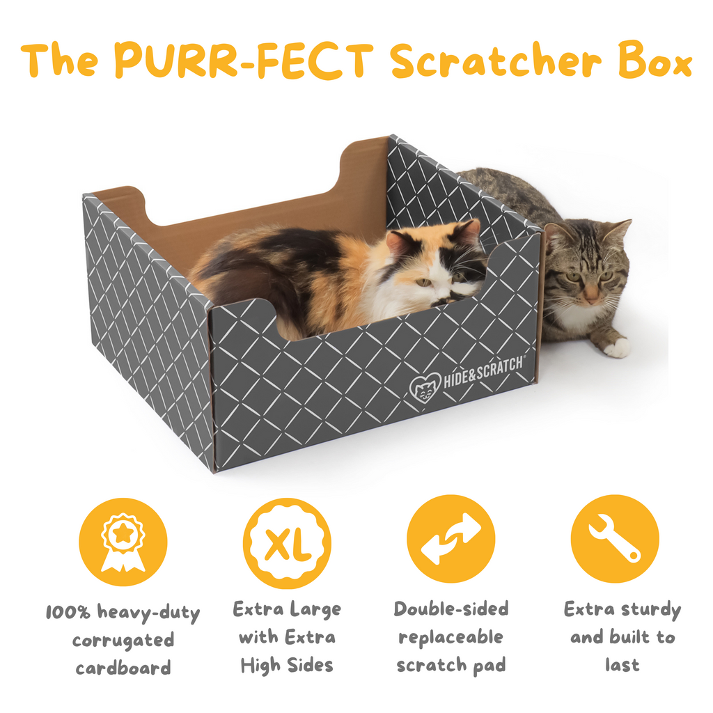 Hide & Scratch Cat Scratcher Box (Case Pack of 15)
