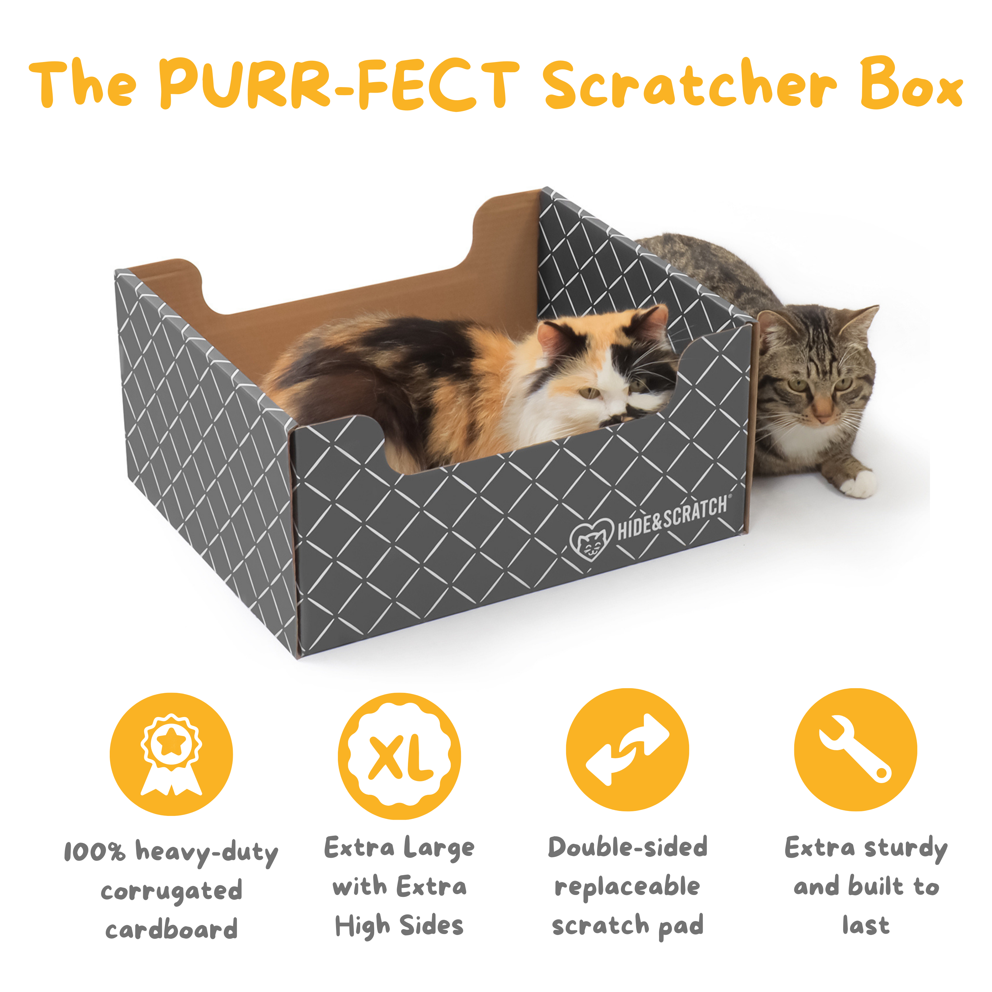 Hide & Scratch Cat Scratcher Box (Case Pack of 15)