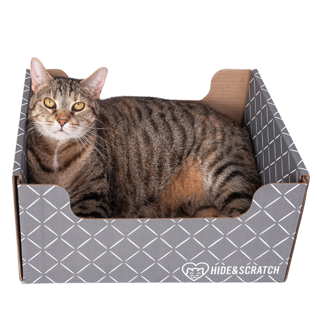 Hide & Scratch Cat Scratcher Box (Case Pack of 15)