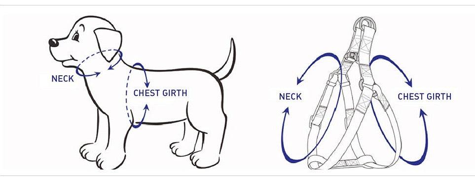 STEP IN HARNESS - LEOPARD