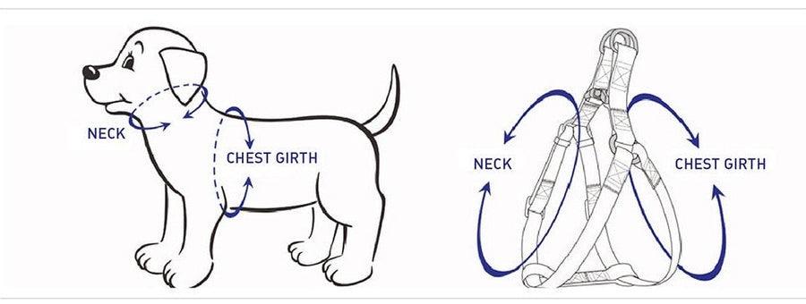 STEP IN BUNDLE - RAINBOW (5 PIECES)