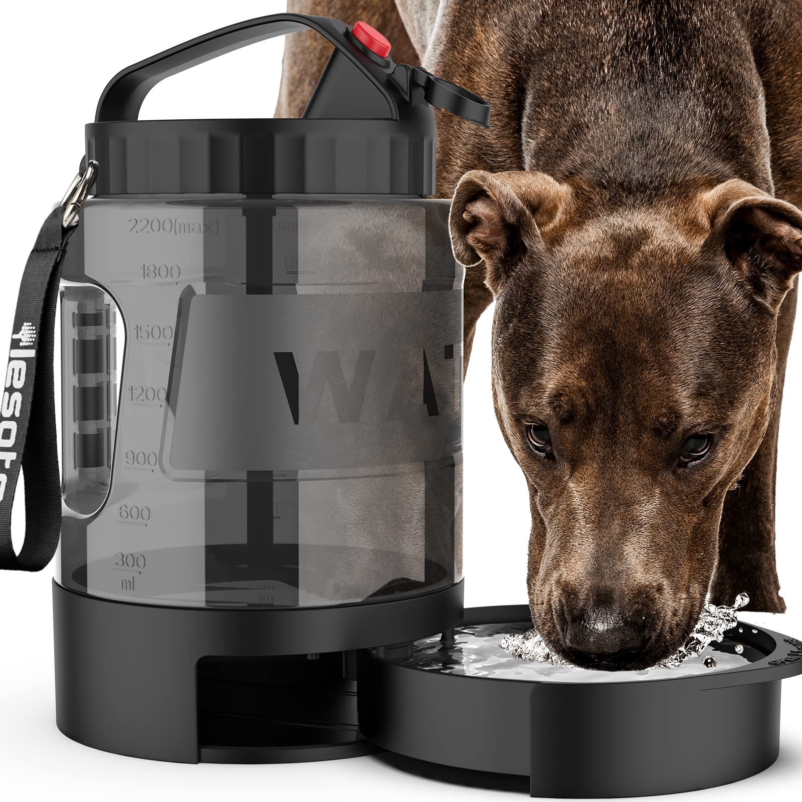 Large Dog Travel Water Bowl Dispenser