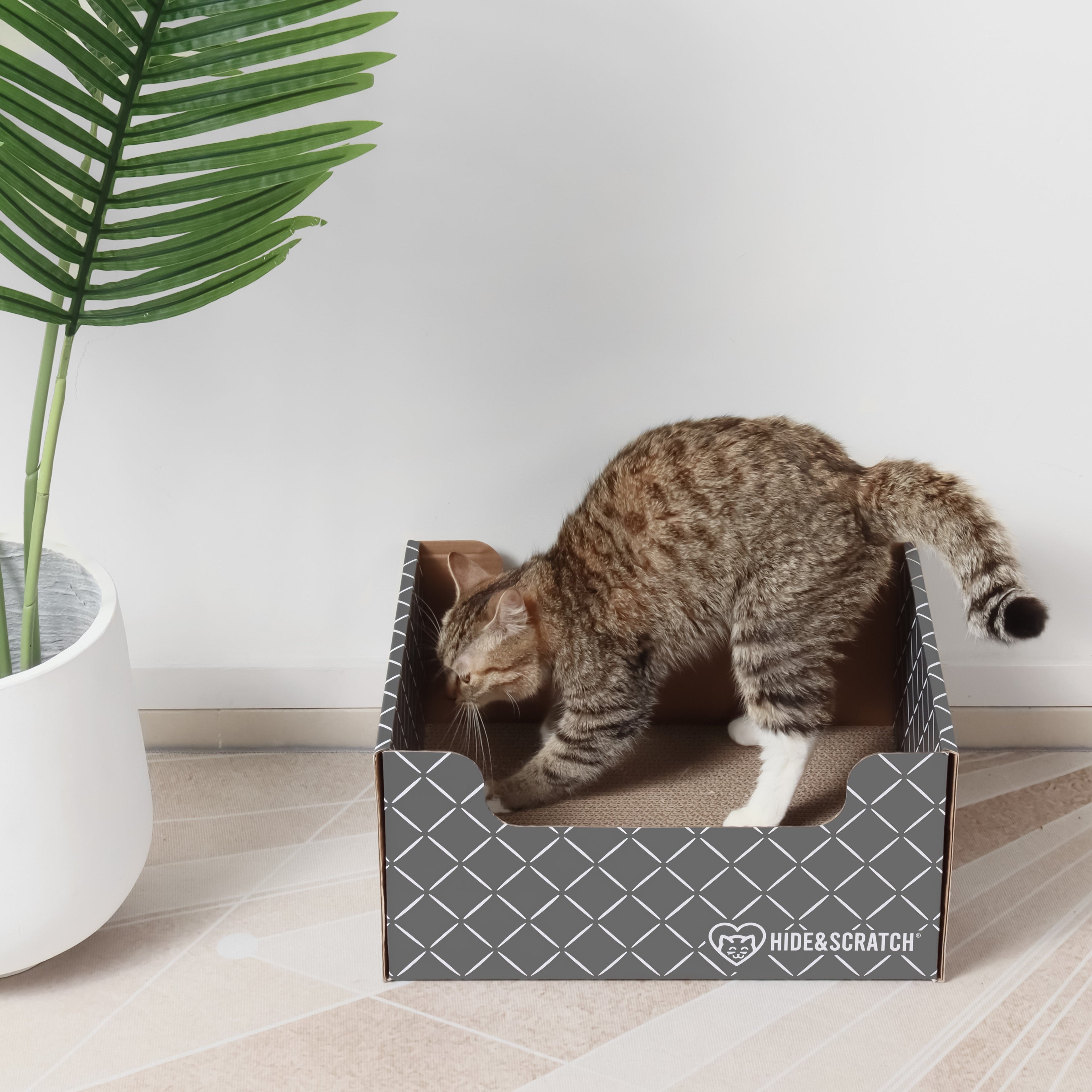 Hide & Scratch Cat Scratcher Box (Case Pack of 15)