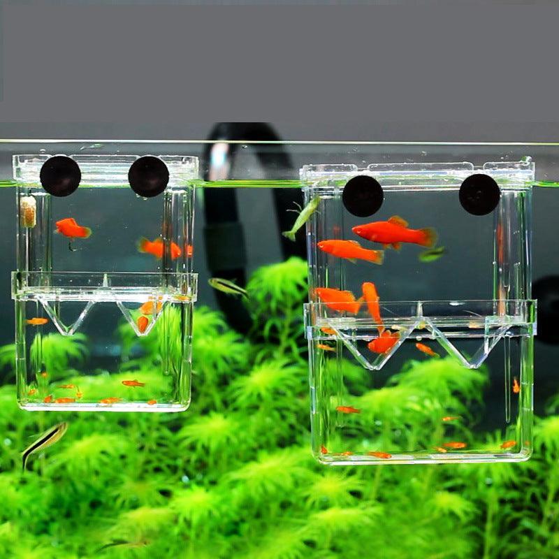 Acrylic Fish Hatchery: A Transparent Sanctuary For Juvenile Fish