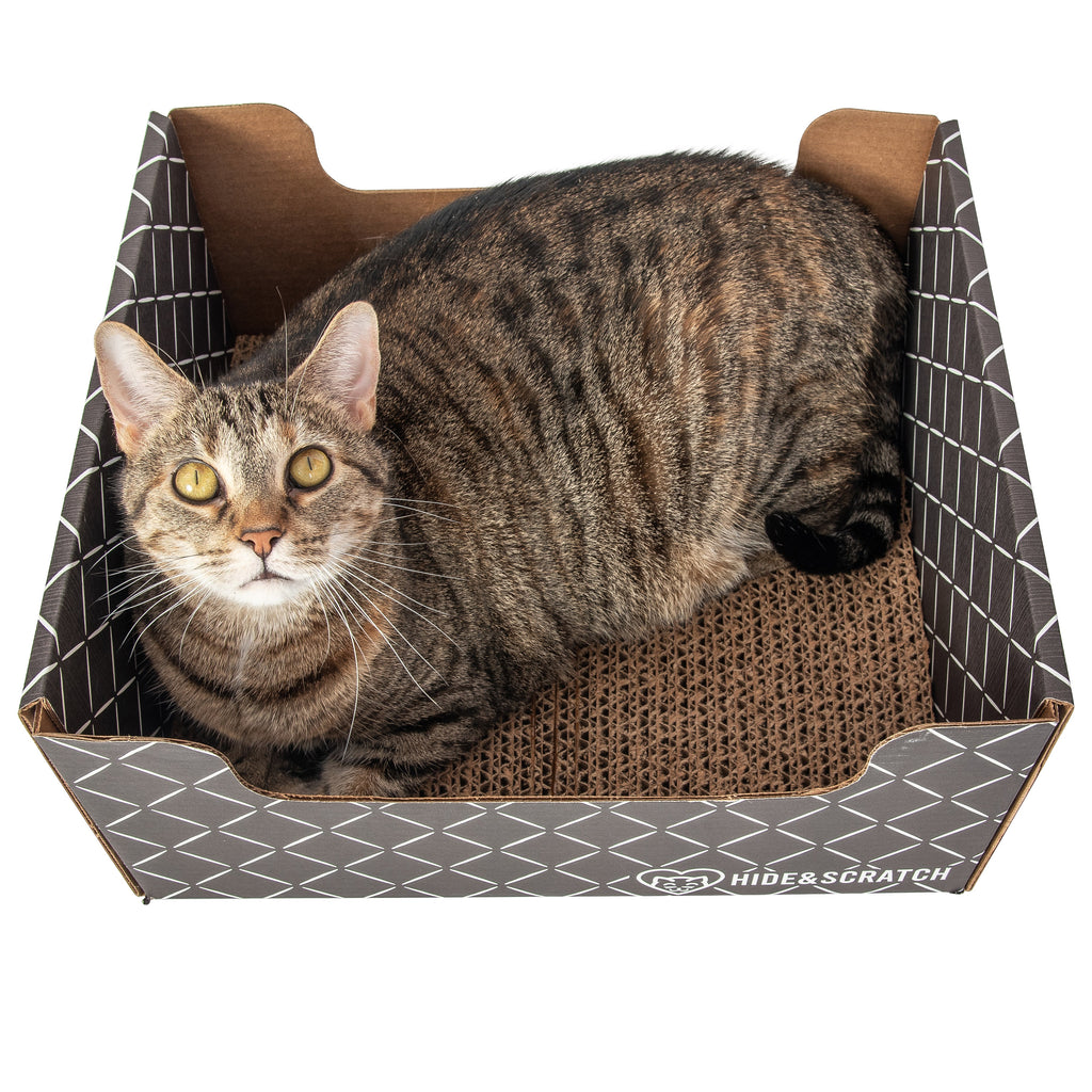 Hide & Scratch Cat Scratcher Box (Case Pack of 15)