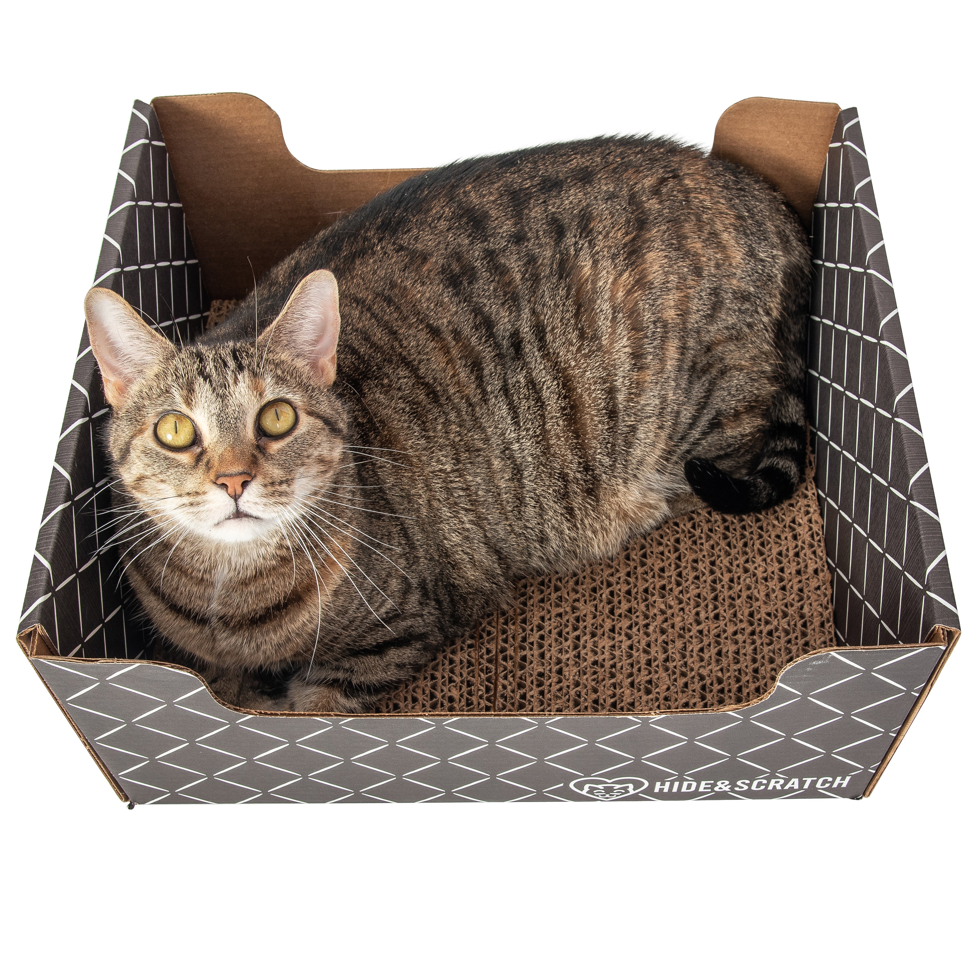 Hide & Scratch Cat Scratcher Box (Case Pack of 15)
