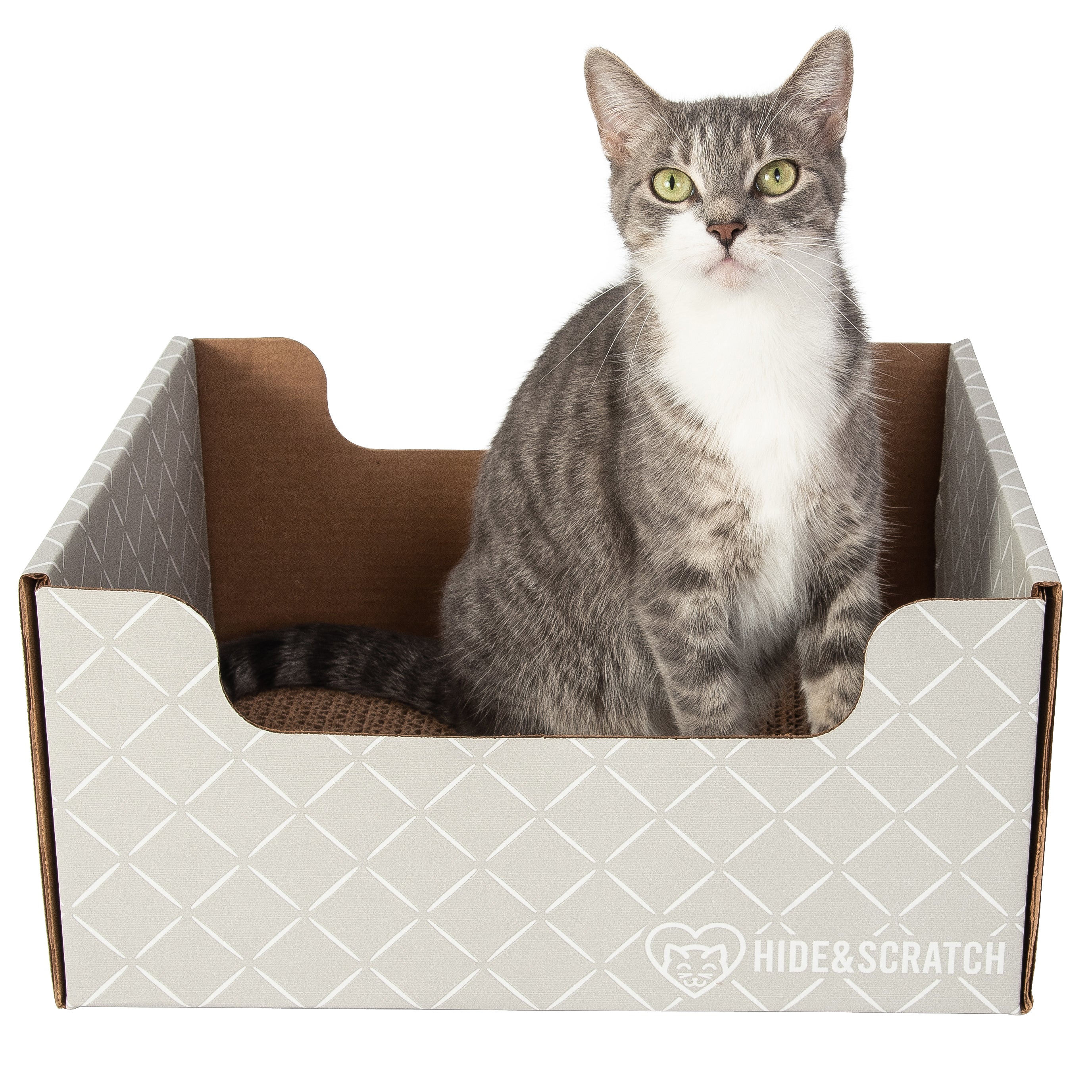 Hide & Scratch Cat Scratcher Box (Case Pack of 15)