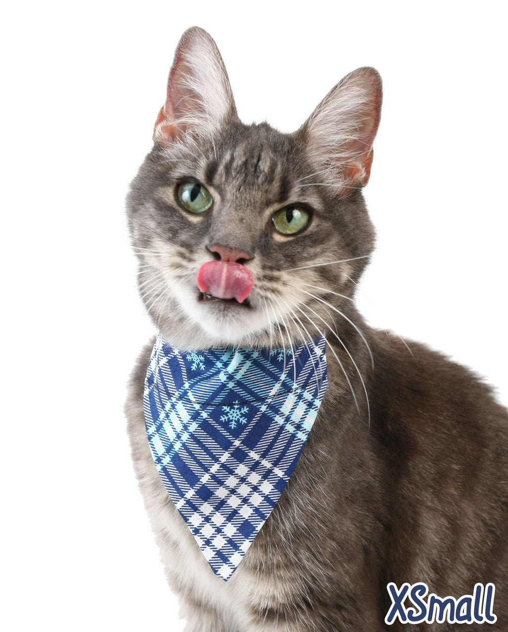 Winter Snowflake Plaid Pet Scarf