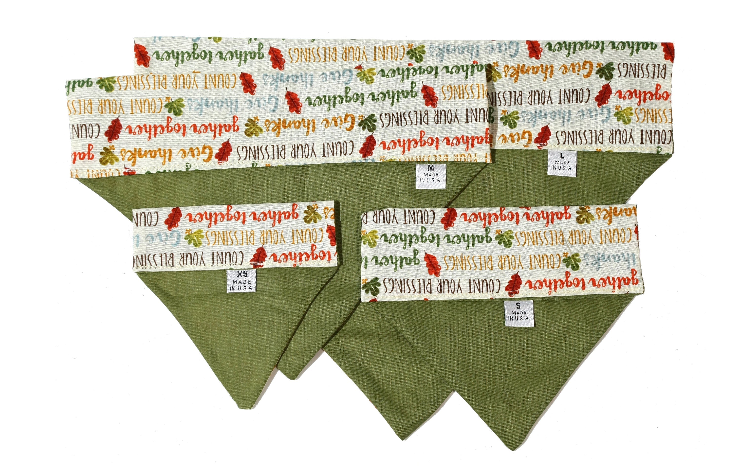 Thankful Words Pet Scarf