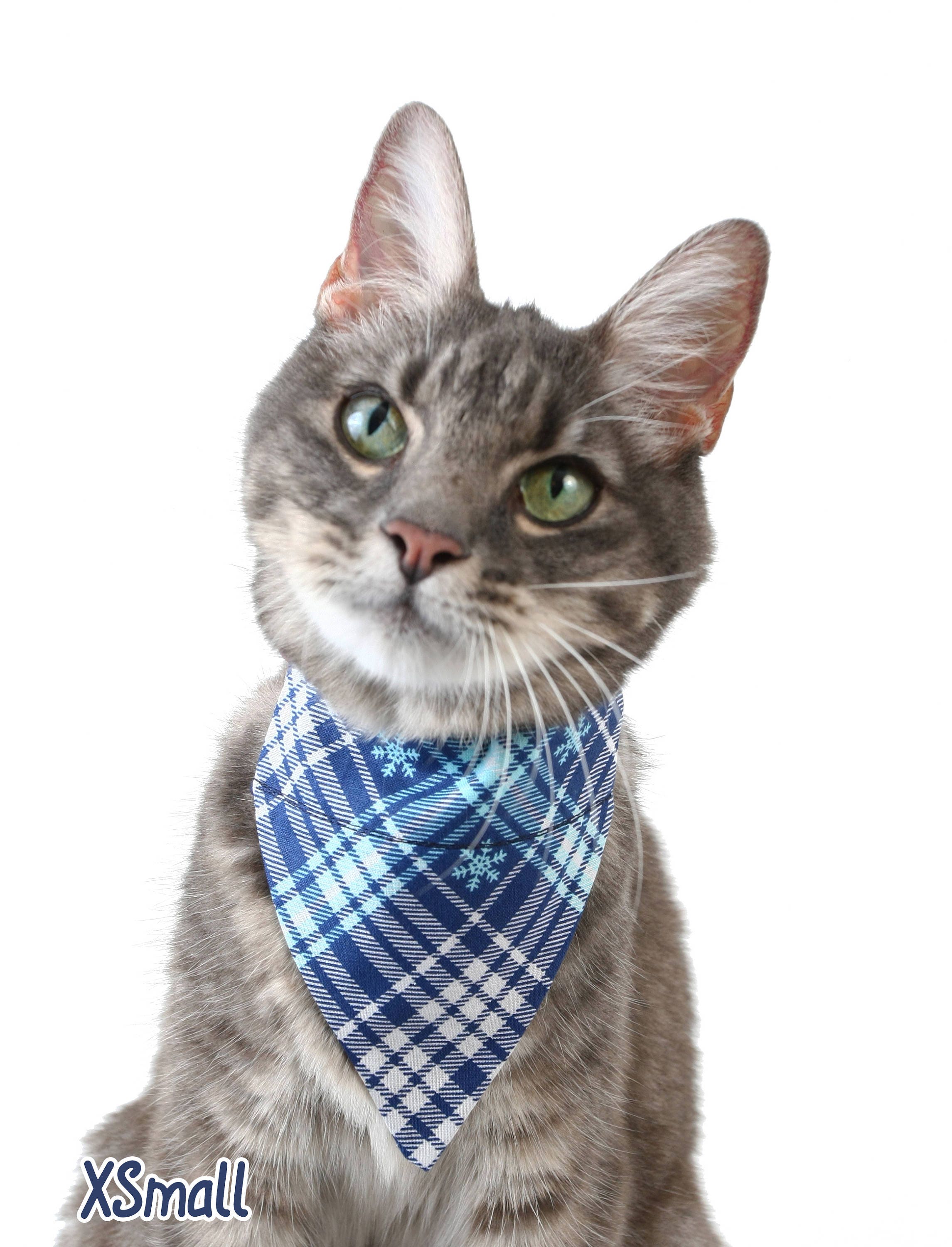 Winter Snowflake Plaid Pet Scarf