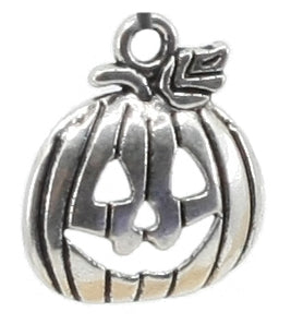 Halloween and Thanksgiving Charms