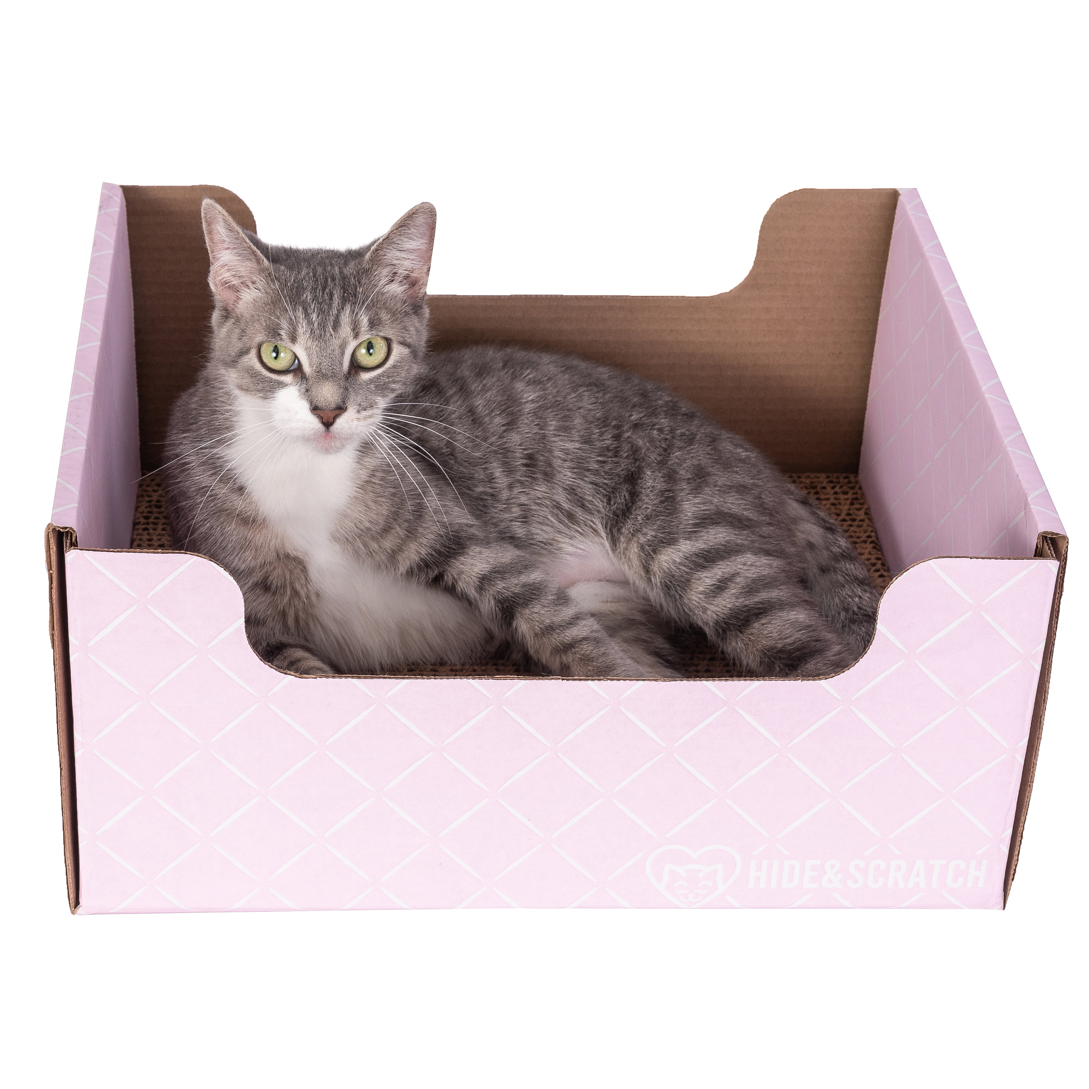 Hide & Scratch Cat Scratcher Box (Case Pack of 15)